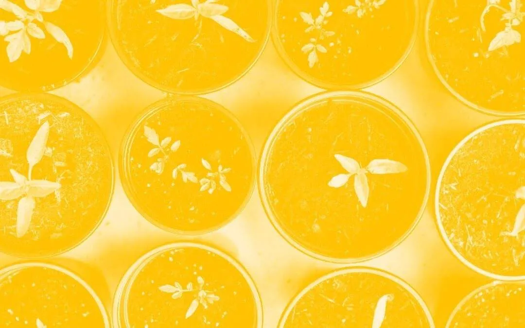 ASWP – The Economic Impact of Digital Accessibility on Companies